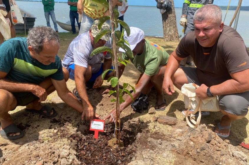 Projeto escolhe mudas da árvores frutíferas e que proporcionam boa sembra.